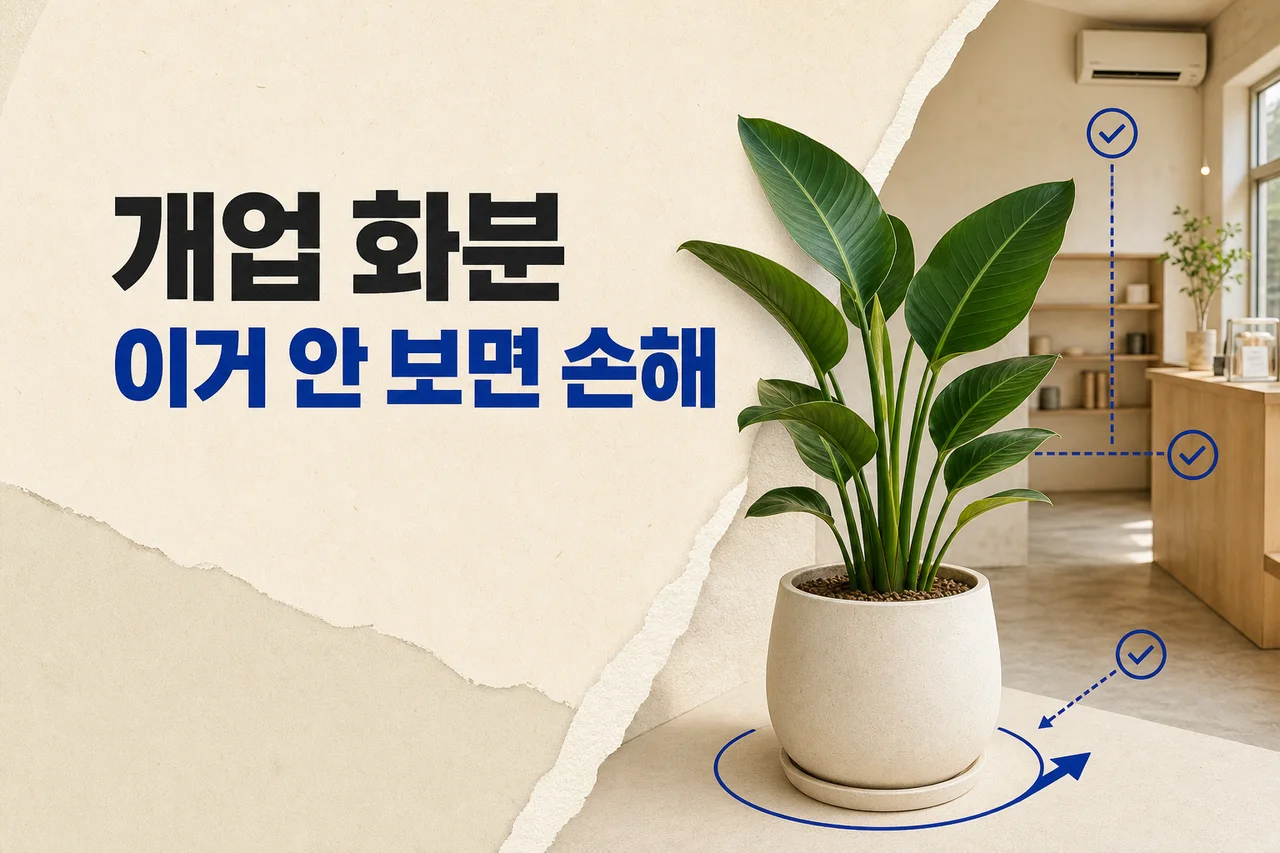 개업화분 추천, 이거 확인안하면 돈 날립니다 대표 이미지